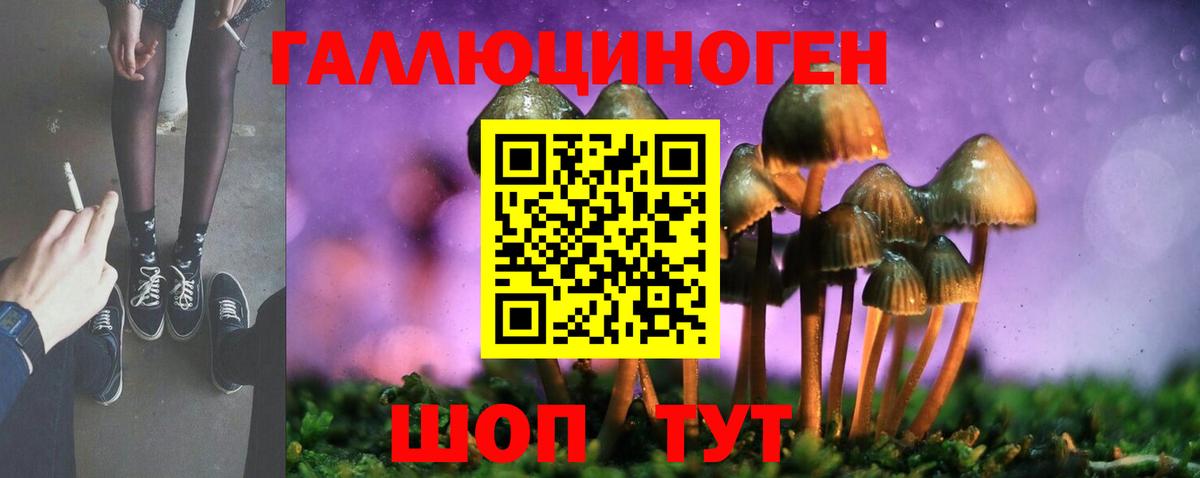 как найти закладки  Вход с VPN  Белорецк  Галлюциногенные грибы Magic Shrooms  Псилоцибиновые грибы Cubensis 